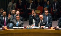 UN Security Council approves resolution on Syria