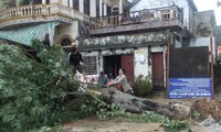 Central Vietnam seeks to recover from typhoon Nari