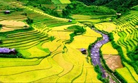 “Vietnamese people travel Vietnam” 
