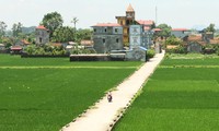 Hanoi reviews 4 years of agricultural and new rural development program