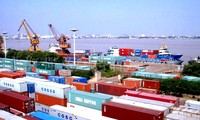 Improving measures to obtain export revenue of 165 billion USD