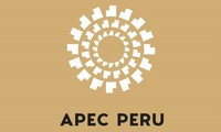 APEC summit promotes regional economic connectivity 