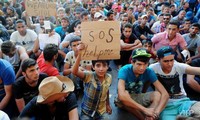 Migrant crisis: darkness in 2016