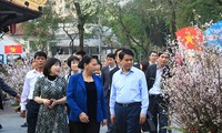 NA Chairwoman visits cherry blossom festival 