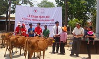 Vietnam contributes to International Red Cross, Red Crescent Societies