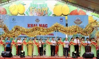 Southern Fruit Festival opens in Ho Chi Minh City