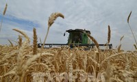 Russia says it will continue exporting grain