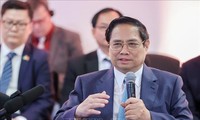 Vietnamese, Brazilian businesses urged to raise trade revenue to 10 billion USD