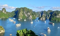 Ha Long Bay-Cat Ba Archipelago recognized as a World Natural Heritage site