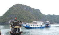 Ha Long Bay-Cat Ba Archipelago world heritage attracts tourists