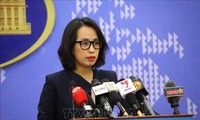 Vietnamese citizens in Israel remain safe: FM spokeswoman