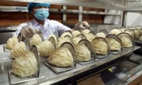 Vietnam exports first bird’s nest products to China