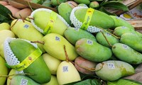 Export of Vietnam’s processed fruit, vegetables tops 1​billion USD