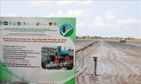 One-million-hectare low-emission rice field project started