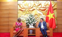 ActionAid works with Vietnam in development cooperation
