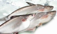 Vietnam targets 2 billion USD from tra fish exports 