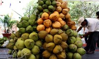 2012 Coconut Festival promotes economic values of coconut tree