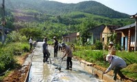 Consensus needed to develop new rural areas in Binh Dinh