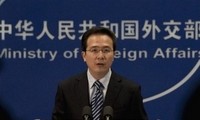 China pledges to cooperate with ASEAN to implement DOC