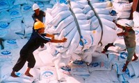 Vietnam promotes development of brand for export rice