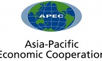 Vietnam is active in APEC integration process