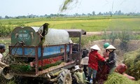 New rural development in Gia Lai province