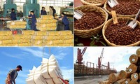 Vietnam’s agro-forestry-seafood exports top 20 billion USD