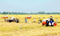 Agriculture – backbone of Vietnam’s economy in 2012