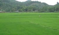 Larger scale farming model duplicated in new rural development program