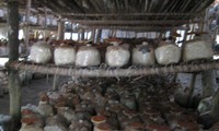 Mushroom growing – new production model in Kim Bang, Ha Nam province