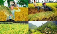  Investment restructuring required to develop agriculture