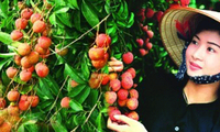 Consolidating Vietnam’s agricultural brand 5 years after joining WTO 