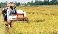 Mekong River Delta boosts mechanization in rice cultivation