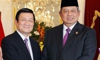 Vietnam and Indonesia establish strategic partnership 