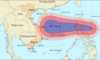 Prompt response to coming typhoon Nari