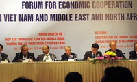  Vietnamese goods penetrate Middle East and North African markets