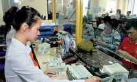 2013 – a successful year for Vietnam’s monetary policy management