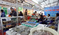 2014 Spring Fair opens in Da Nang City 