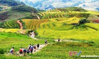 Lao Cai introduces new tourism products