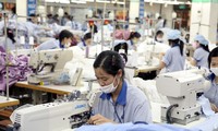 Vietnam to reduce reliance on imports 