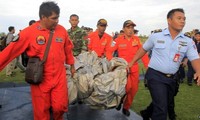 Forty bodies found in missing plane search  