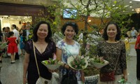 Homeland spring warms the hearts of Overseas Vietnamese 
