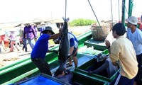 Khanh Hoa fishermen begin 2015 new catch