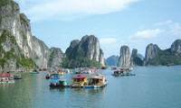 India, Vietnam boost tourism cooperation