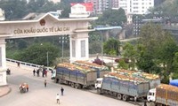 Agro-forestry exports – positive sign from Lao Cai International Border Gate