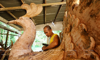 Vocational training at a Buddhist pagoda