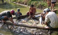 Social responsibility essential to fisheries sector