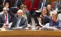 UN adopts resolution on Syria chemical weapons 