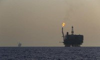 Global oil prices continue downward trend