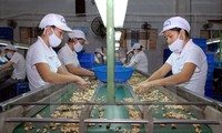Vietnam aims to set up export channel to Italy